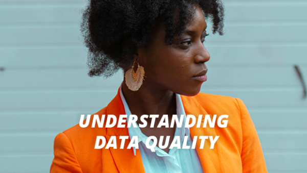 Understanding batch skip tracing data quality