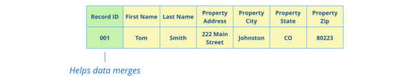 Batch skip tracing record ID column.