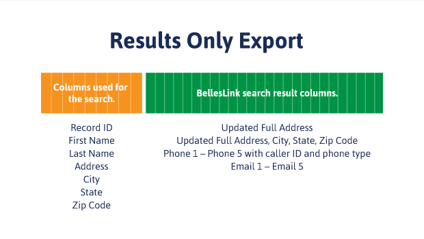 A diagram showing the spreadsheet format of batch skip tracing results for a results only export. 